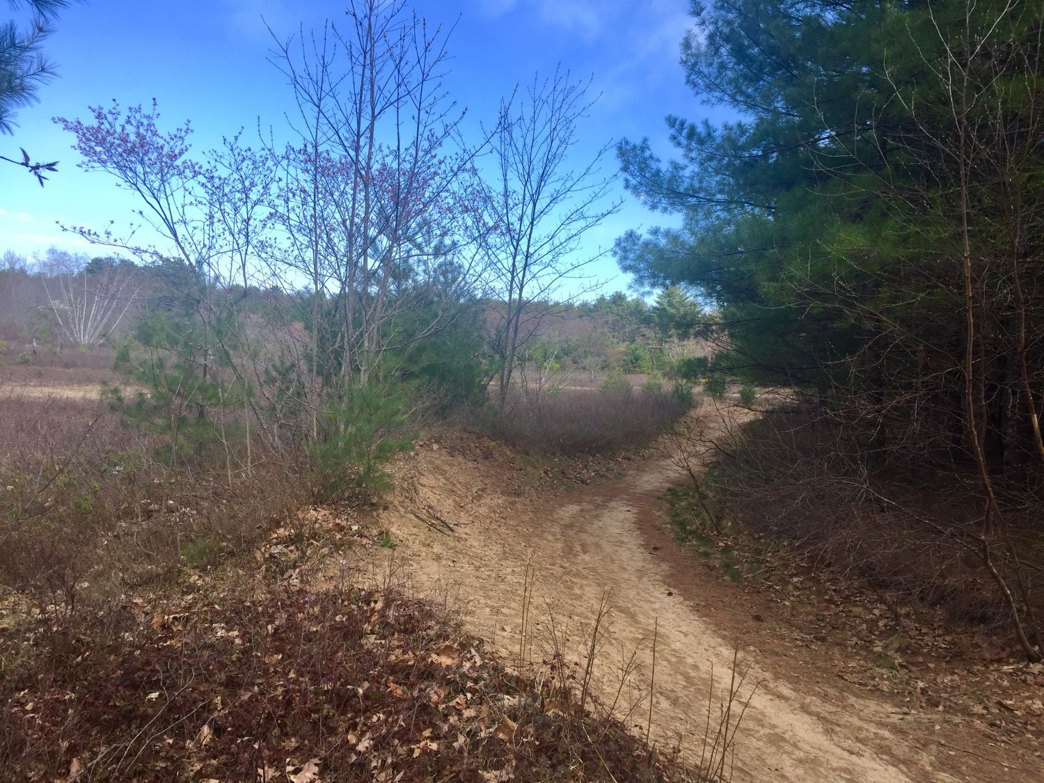 Developer seeks easement from town of Old Orchard Beach